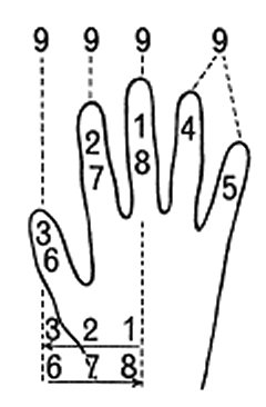Numerical Value of Fingers