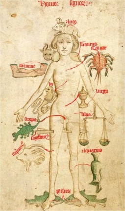 Zodiacal Man 1486